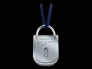 Silver plated pendants with necklace