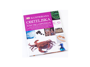DK Family Encyclopedia